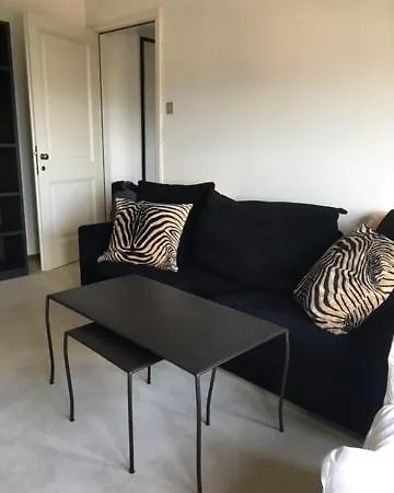 Corso Italia 公寓 *